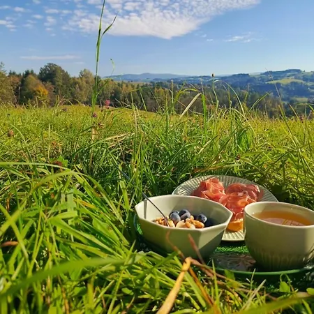 Tiny House S Vyhledem Na Krkonose A Jizerky Semily